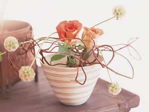 ホームティーチャー 年齢