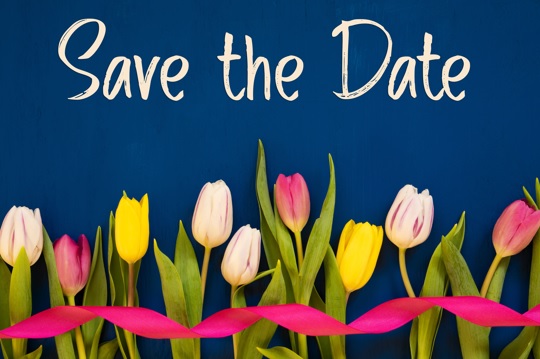 ECCジュニアホームティーチャー