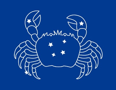 大谷翔平 血液型 B型