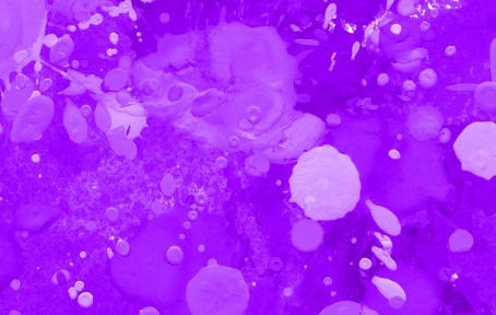 大谷翔平 好きな色