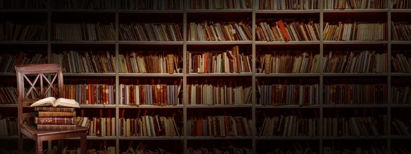 3500万円 本 何冊 二階元幹事長