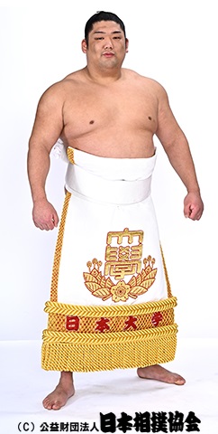 尊富士 家族 横綱