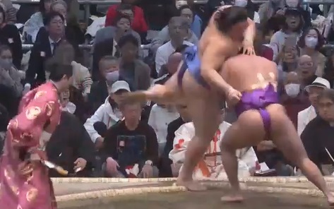 尊富士 家族 大鵬